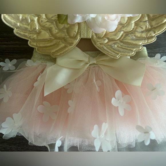 Angel wings and Tutu set - Milestone Picture Outfit - Picture 4 of 5